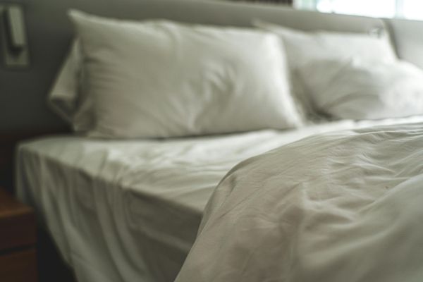 Comment identifier les œufs de punaises de lit efficacement ?