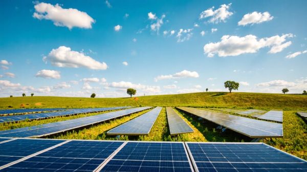 Top stratégies pour réduire vos coûts avec le photovoltaïque agricole