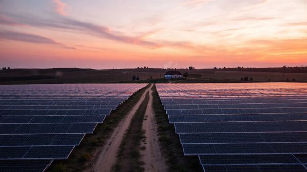 Top stratégies pour réduire vos coûts avec le photovoltaïque agricole